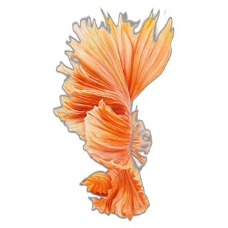 reparation iPhone 6S Carrieres-sous-poissy